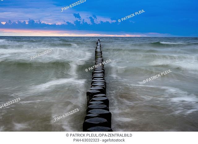 Groynes stick out of the Baltic Sea near the seaside resort Koelpinsee (Mecklenburg-Western Pomerania) on the Usedom Island, Germany, 19 October 2015