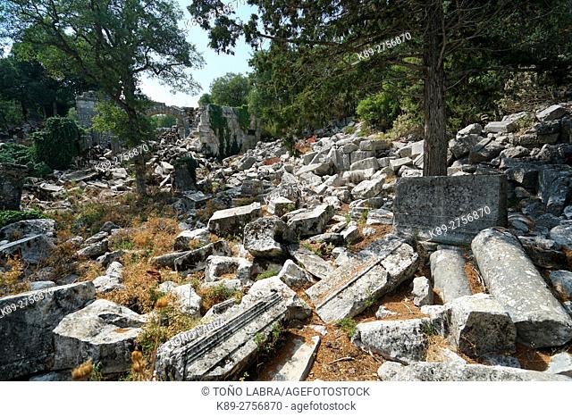 The Colonnade Way of Termessos. The unexcavated Pisidian city. Ancient Greece. Asia Minor. Turkey