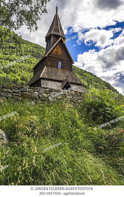 Urnes Stave church and wildflowers, World Heritage Site at Ornes on the Lustrafjorden, Norway, Sognefjorden