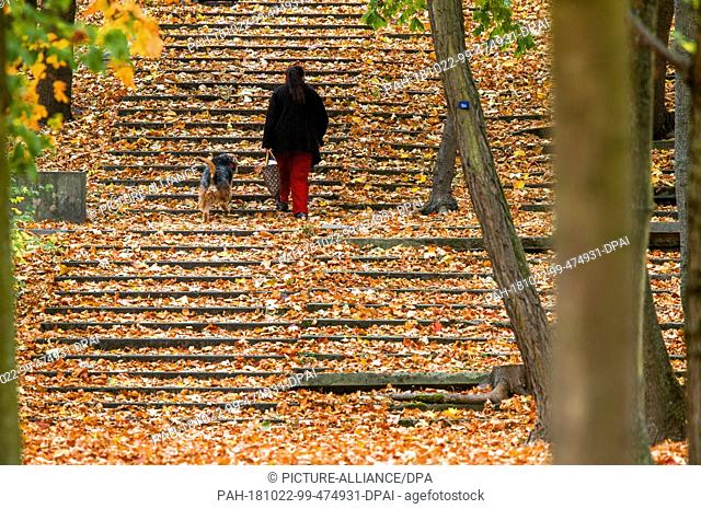 22 October 2018, Berlin: A woman walks with her dog over a staircase covered with colourful autumn leaves near the main station