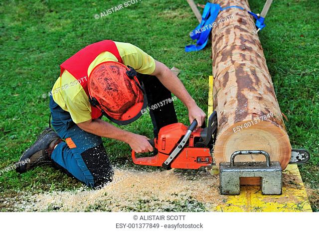Logger in action