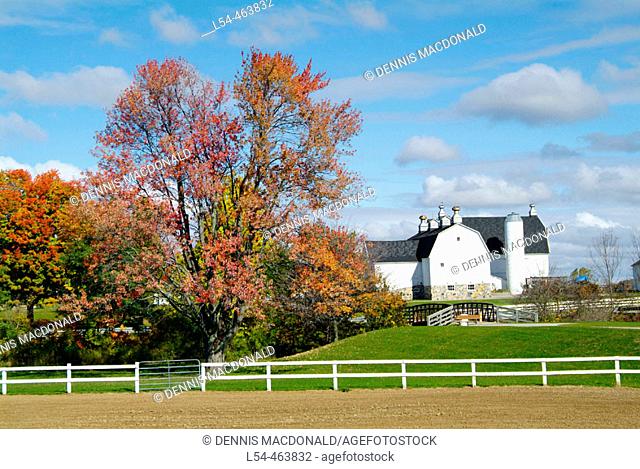 Northern Indiana agriculture farming scene during the autumn fall colors. The image was taken in La Grange county along the east/west route of highway 20