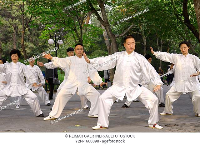 Morning Tai Chi class in position under trees in Zizhuyuan Purple Bamboo Park in Beijing China