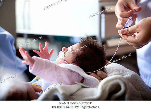 Reportage in the level 2, neonatology service in a hospital in Haute-Savoie, France. A nurse injects vitamins into the feeding tube of a premature baby
