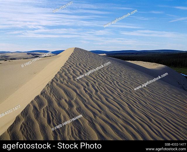 The Great Kobuk Sand Dunes, Kobuk Valley National Park, Alaska