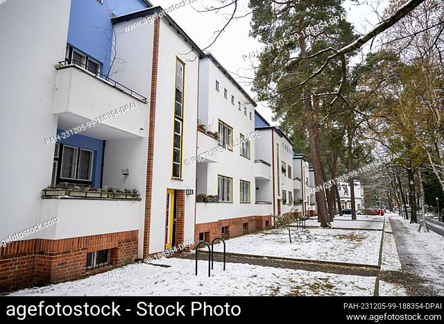 05 December 2023, Berlin: The Zehlendorf forest settlement in Berlin is to be recognized as a site of special importance to the global community by being...