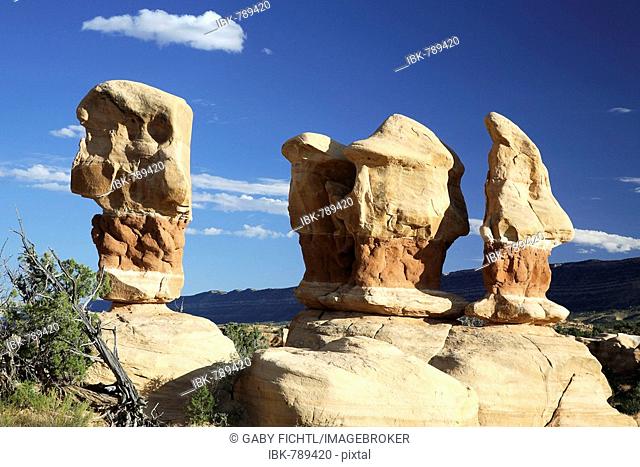 Rock formations, Devils Garden, Grand Staircase-Escalante National Monument, Utah, USA