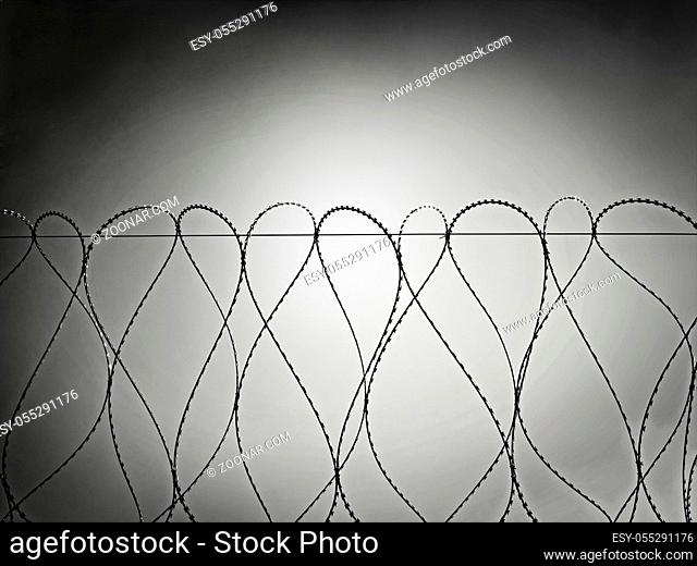 spirals of barbed wire against the sky