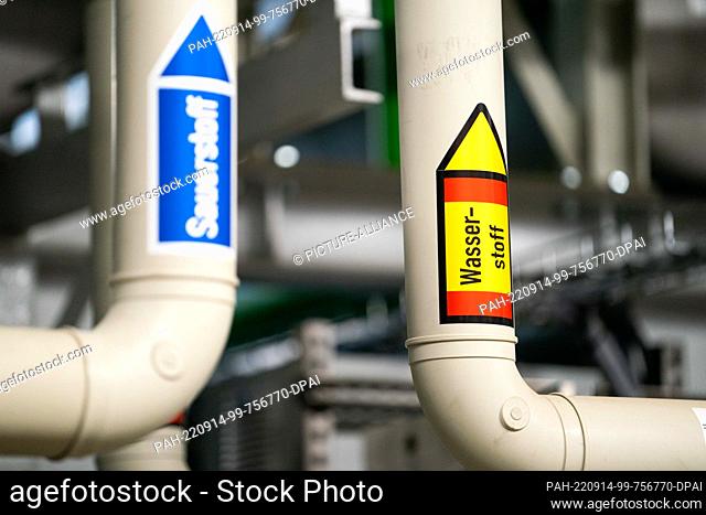 14 September 2022, Bavaria, Wunsiedel: A sticker reading ""Hydrogen"" is affixed to pipes of a hydrogen generation plant