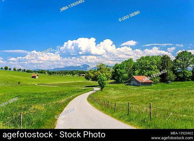 Germany, Bavaria, Upper Bavaria, Pfaffenwinkel, Eglfing, spring landscape on the Stein adventure trail against the foothills of the Alps