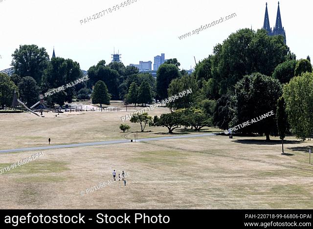 18 July 2022, North Rhine-Westphalia, Cologne: Only a few people linger in the heat in the withered Rhine Park on the banks of the Rhine - Cologne Cathedral in...