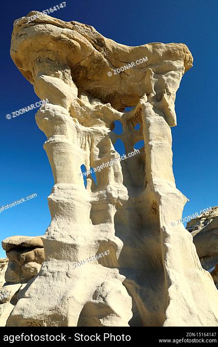 Strange Rock Formation in Bisti Badlands (Alien Throne) New Mexico USA