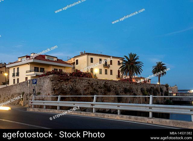 Residential houses, palm trees, Orbetello, Grosseto province, Tuscany, Italy
