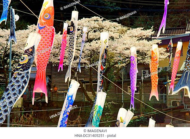 Tsuetate-onsen Hot Springs Koinobori (Carp Streamers) Festival, Kumamoto Prefecture, Japan