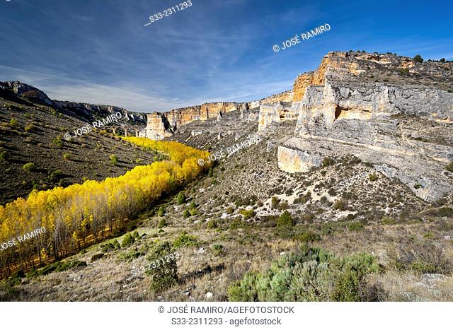 Riaza Canyon Natural Park. Montejo de la Vega de la Serrezuela. Segovia. Castilla Leon. Spain. Europe