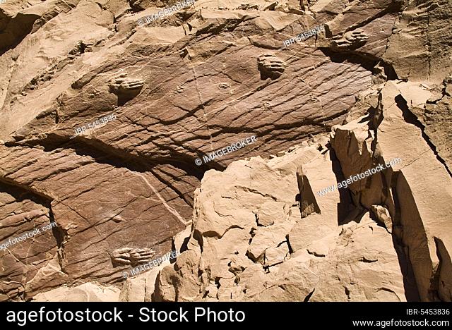 Fossilised dinosaur footprints, Laguna Brava, Las Vicunas National Reserve, High Andes, La Rioja Province, Argentina, South America
