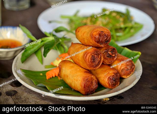 Spring rolls, Secret Garden Restaurant, Ho Chi Minh City, Vietnam, Asia