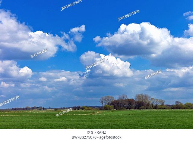 view over meadows near Hamme to Weyerberg, Germany, Lower Saxony, Worpswede