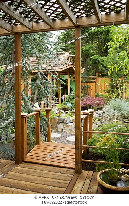 Japanese-style teahouse framed by covered deck and small bridge [Cedrus atlantica 'Glauca Pendula'; Acer palmatum 'Dissectum'; Helictotrichon sempervirens;...