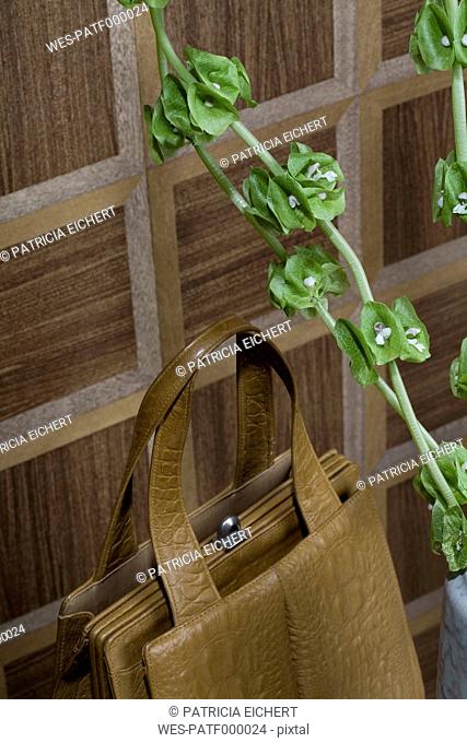Old-fashioned brown handbag and twigs of Bells of Ireland in front of wooden wall cladding