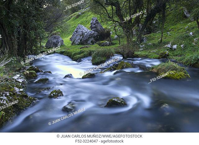 Birth of the Gándara River, La Gándara, Soba Valley, Valles Pasiegos, Cantabria, Spain, Europe