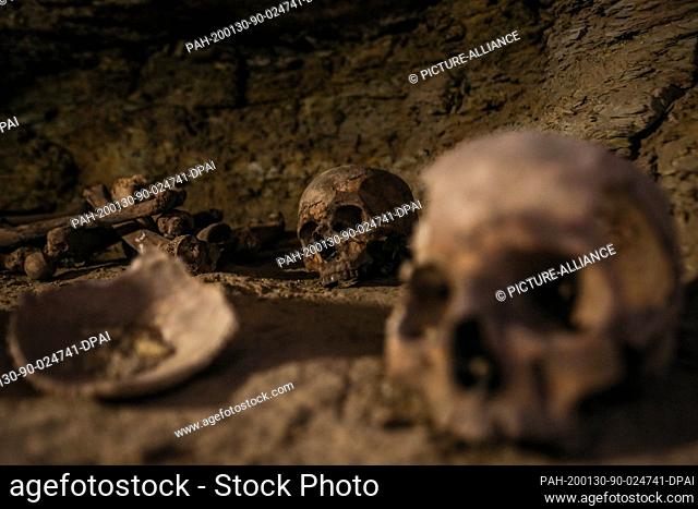 30 January 2020, Egypt, Minya: Skulls are seen inside a communal tomb, one of three newly discovered tombs of the high priests of ancient Egyptian deity Djehuty...