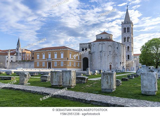 St. Donatus Church and St. Anastasia Cathedral bell tower, Zadar, Dalmatia, Croatia, Europe