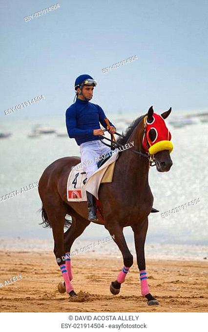Horse race on Sanlucar of Barrameda, Spain, August 2010