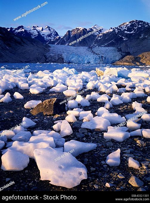 McBride Glacier with numerous calved icebergs exposed at low tide, Muir Inlet, Glacier Bay National Park, Alaska