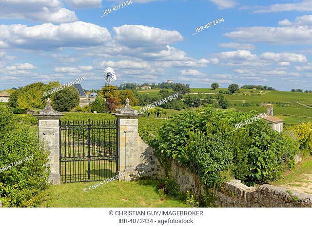 Chateau Ausone, vineyard, Saint-Émilion, Gironde, Aquitaine, France