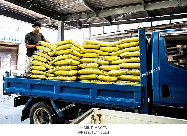 Japanese farmer wearing black cap standing on a blue truck, stacking yellow plastic sacks