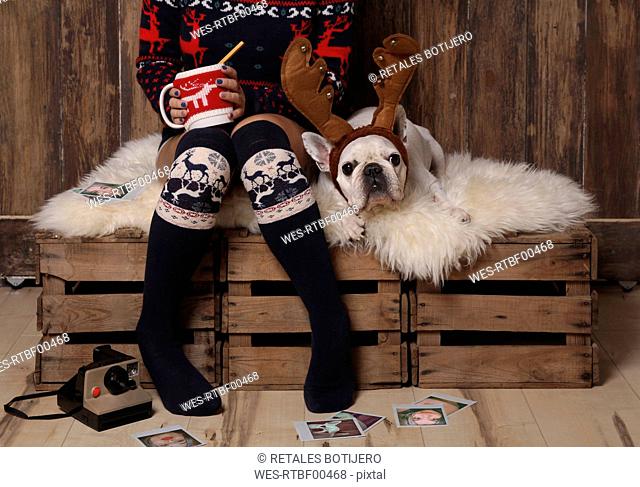 Young woman wearing winter fashion sitting besides her French bulldog at Christmas time