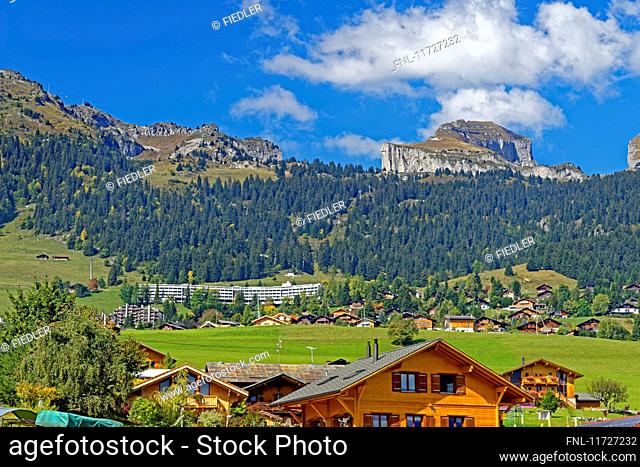Mountain landscape, Leysin, Canton Waadt, Switzerland, Europe