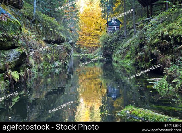 Autumn in the Edmundsklamm gorge with the river Kamenice (German Kamnitz), core zone Saxon Bohemian Switzerland National Park, Elbe Sandstone Mountains, Hrensko