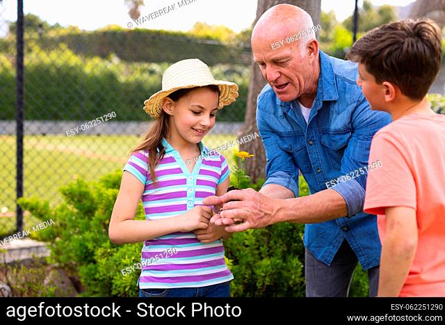 Caucasian children and grandfather spending time together in the garden, planting