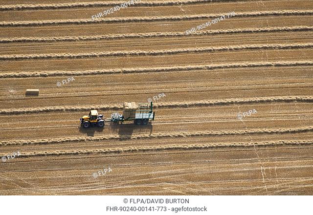 Aerial view of harvested wheat field, with tractor and trailer carting bales, Norfolk, England