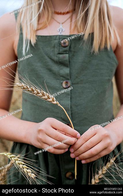 Girl's hands with wheat ear