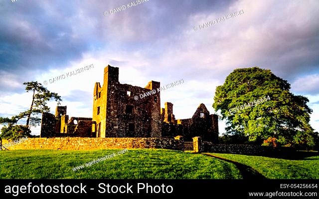 Ruins of old, 12th century Bective Abbey, with surrounding wall and large green tree. Dramatic stormy sky at sunset. County Meath, Ireland