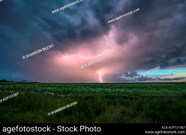 Storm with lightning flashing over field in rural southern Manitoba Canada