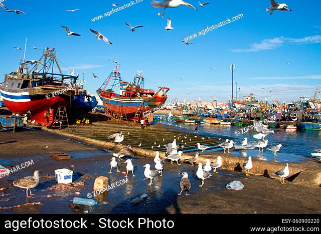 Flocks of seagulls flying over Essaouira fishing harbor, Morocco. Fishing boat docked at the Essaouira port waits for a full repair with a boat hook in the...