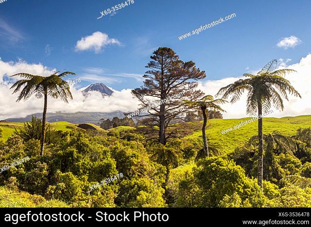Mount Egmont or Taranaki, Egmont National Park, North Island, New Zealand