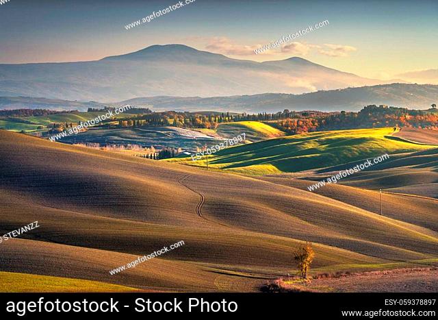 Monteroni d'Arbia, rolling hills and Mount Amiata. Siena, Tuscany. Italy, Europe