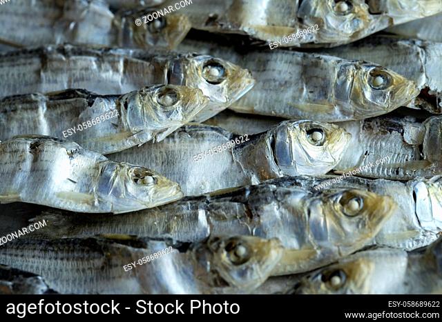 An overhead close up photo of dried sardines laid in a neat pile