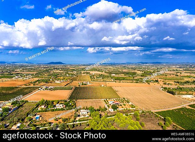 Aerial view of agricultural fields against cloudy sky on sunny day, Mallorca, Spain