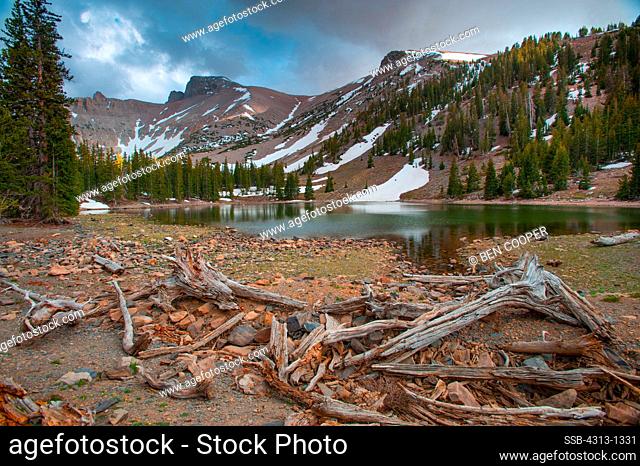 Stella Lake is a small alpine lake on Wheeler Peak, Great Basin National Park, Nevada. It sits at an altitude of around 10, 385 feet