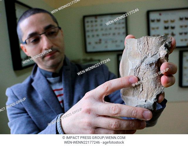 Stoyan Vergiev, an expert from Varna's Natural Science Museum, presents part of a prehistoric whale's vertebra. The mammal lived during the Miocene about 10-15...