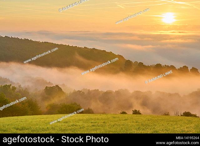 Main valley, fog, morning, sunrise, summer, Seckmauern, Lützelbach, Hesse, Bavaria, Germany