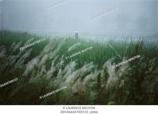 Myanmar Burma, misty landscape with person in the distance