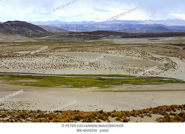 Plateau with river at 4000 m above sea level, Uyuni, Potosí, Bolivia