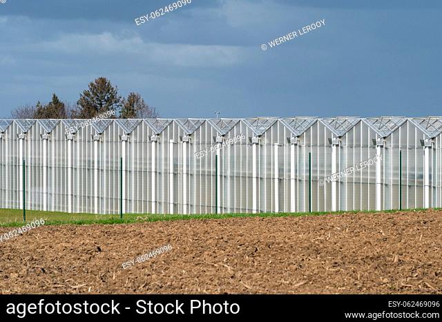 Glasshouses for vegetable cultivation at Merchtem, Flemish Brabant Region, Belgium